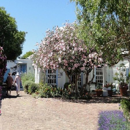 Eastbury Cottage Hermanus Exteriér fotografie