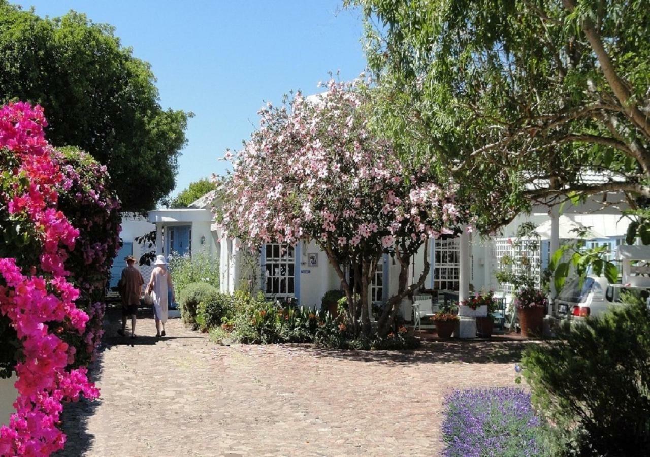 Eastbury Cottage Hermanus Exteriér fotografie
